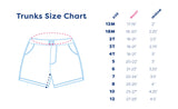 Blue Quail Clothing Co. Swim Trunk - Stingrays - Let Them Be Little, A Baby & Children's Clothing Boutique