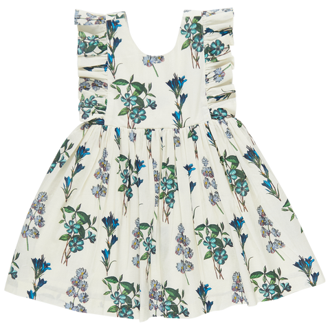 Pink Chicken Marceline Dress - Blue Botanical - Let Them Be Little, A Baby & Children's Clothing Boutique