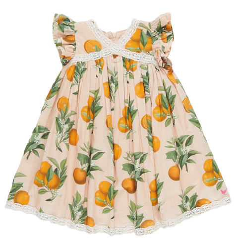 Pink Chicken Katherine Dress - Pink Botanical Oranges - Let Them Be Little, A Baby & Children's Clothing Boutique