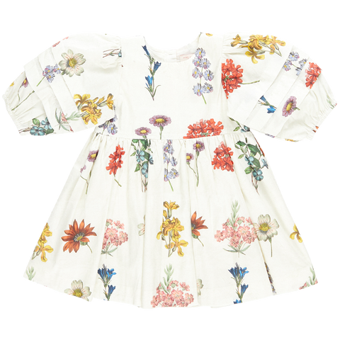 Pink Chicken Brooke Dress - Notebook Botanical - Let Them Be Little, A Baby & Children's Clothing Boutique