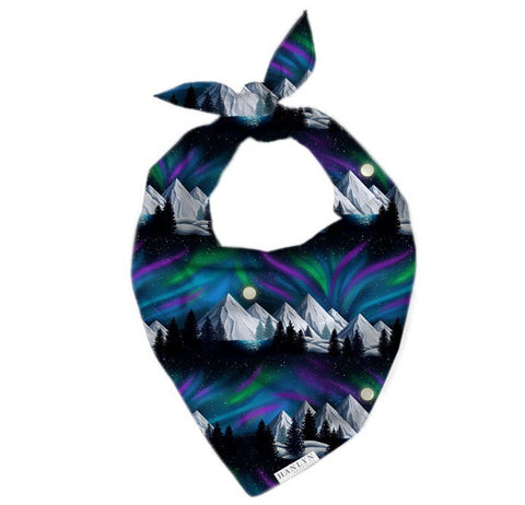 Hanlyn Collective Dog Bandana - The Northern Lights - Let Them Be Little, A Baby & Children's Clothing Boutique