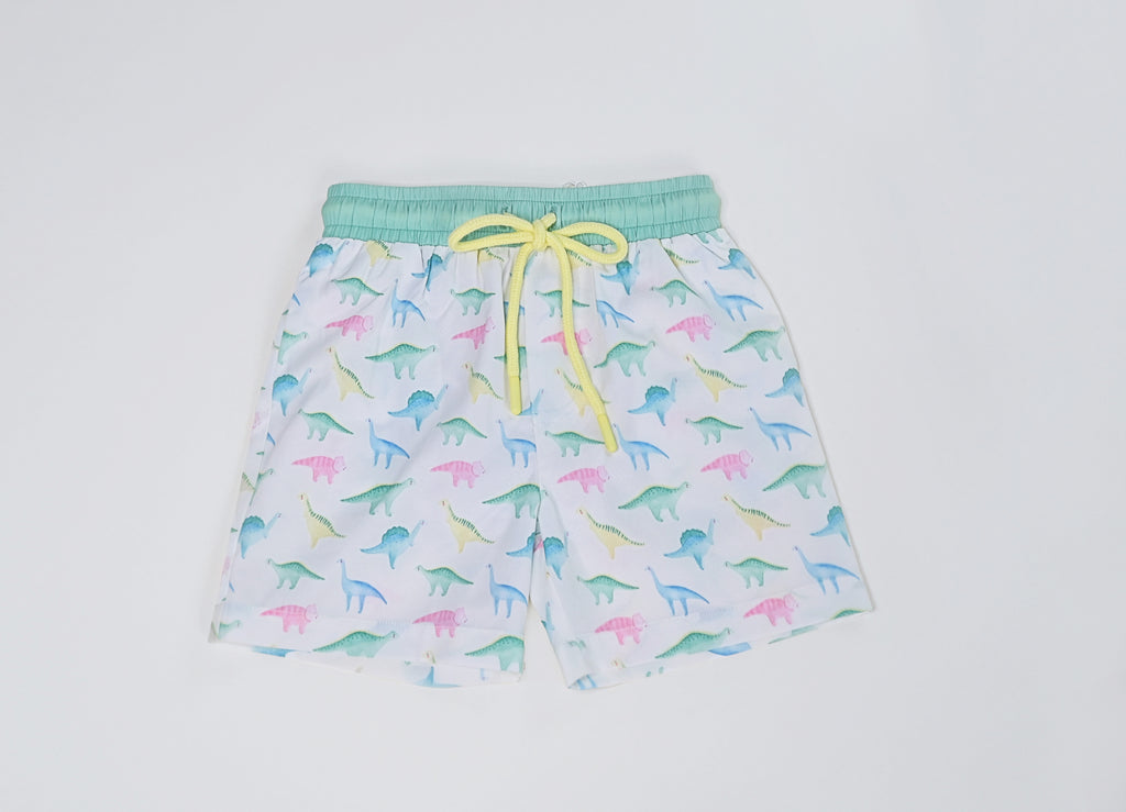 Swoon Boy Swim Shorts - 2359 Watercolor Dino Collection  Let Them Be  Little, A Baby & Children's Clothing Boutique
