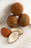 Oli & Carol - Coco the Coconut - Let Them Be Little, A Baby & Children's Boutique