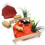 Earth Grown KidDoughs Sensory Dough Play Kit - Farm (Scented) - Let Them Be Little, A Baby & Children's Clothing Boutique