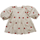 Pink Chicken Bea Dress - Pumpkin Embroidery - Let Them Be Little, A Baby & Children's Clothing Boutique